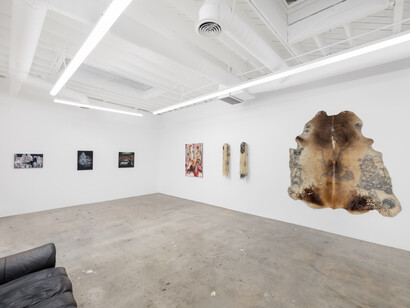 Jasmine Monsegue, Everything that glitters, exhibition view. Courtesy of Control Gallery