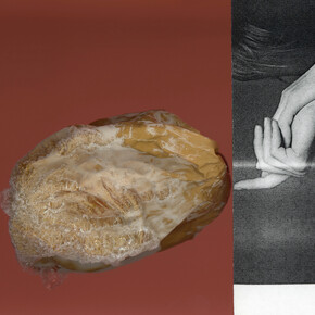 Suzanne Mooney, There Are Exceptations, 2017. Courtesy of the artist.
