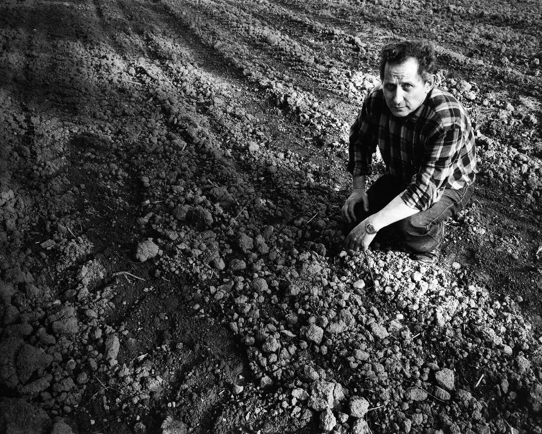 Ritratto di Nanni Valentini, foto di Nino Lo Duca, 1985