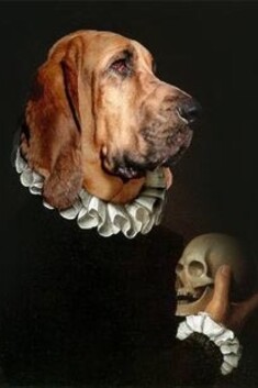 I cani stanno diventando a tal punto umani che moltiplicandosi così velocemente nella prossima generazione domineranno i Sapiens