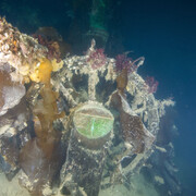 The Franklin Exploration. Courtesy of ROM