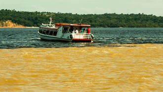 Cerca de Manaos, a pocas millas, el Solimões se une al Río Negro para juntos formar el gran Amazonas sin que sus aguas, debido a las distintas densidades, se mezclen durante kilómetros, como si las dos tremendas corrientes se negaran a perder sus respectivas identidades. Estado de Amazonas, Brasil
