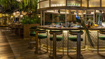Amazónico London, The Bar