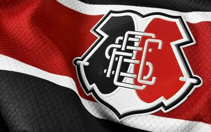 Reparem na dimensão de uma multidão! Mas não é uma multidão qualquer. A multidão abraça um conceito polissêmico, que está em constante transformação; traz a massa, a energia da massa, uma energia revigorante de contágio com o intuito de algo ou propósito comum — uma efervescência coletiva. O  conceito  de  multidão  é de uma multiplicidade singular,  um  universal concreto