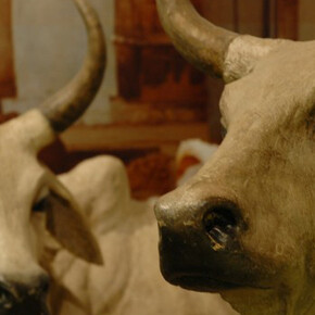 South Asian. Courtesy of Blackburn Museum