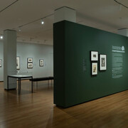 Deconstructing nature, exhibition view. Courtesy of the Baltimore Museum of Art