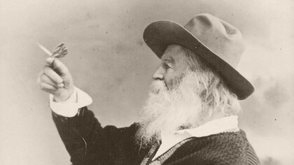 El poeta estadounidense, Walt Whitman, observando una mariposa