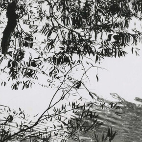 Barbara Blondeau, Untitled (tree branches and a pond), 1966. Courtesy of Stephen Daiter Gallery