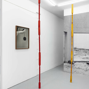 Joanna Piotrowska. Courtesy of Galeria Madragoa