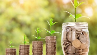 The value of money is only visible if there's growth in a stable global economy as represented by these coins and their sprouting green plant equivalent