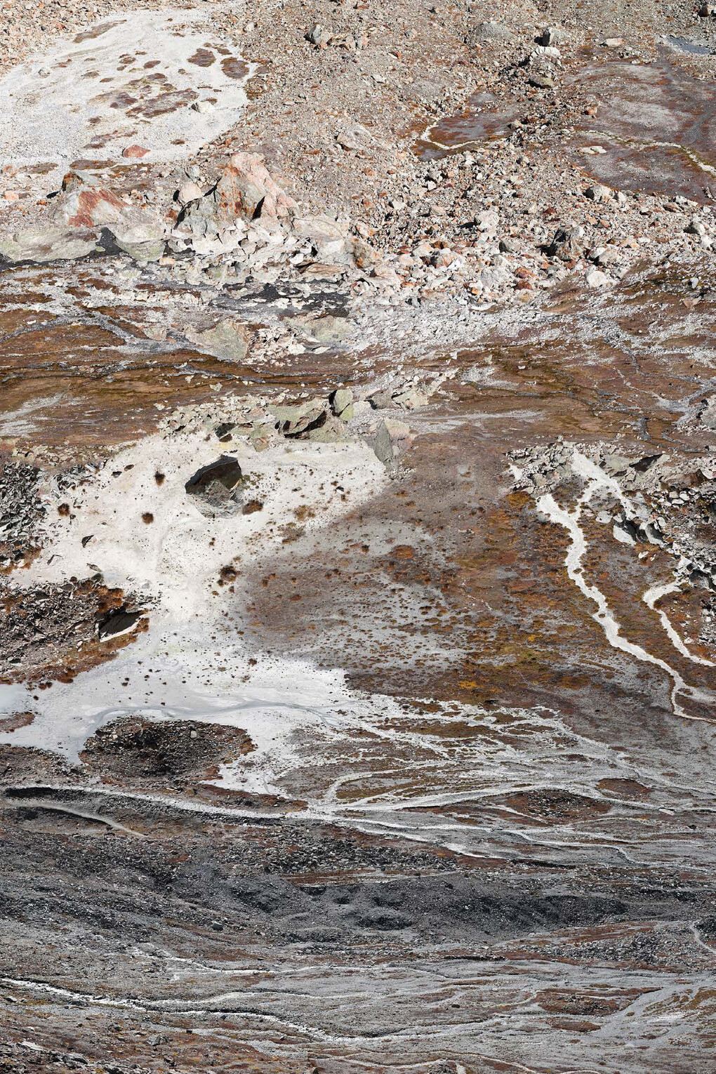 Benoît Vollmer, Untitled T01, archival pigmented print, 240 x 150 cm, Courtesy Galerie Eric Mouchet