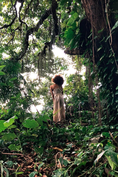 Isaac Julien, Emaranhado epifítico (Lina Bo Bardi - A marvellous entanglement), 2019. Cortesia da Galeria Nara Roesler
