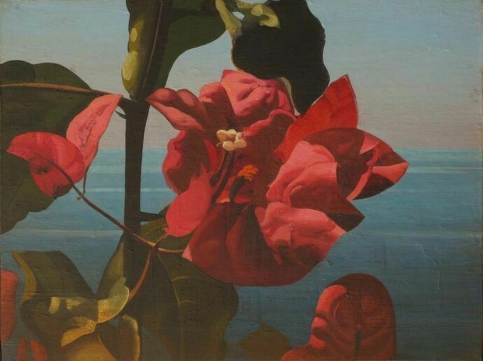 Behi Shamiri, Bouganvillées II, 2013, olio su tela, 46 x 61 cm