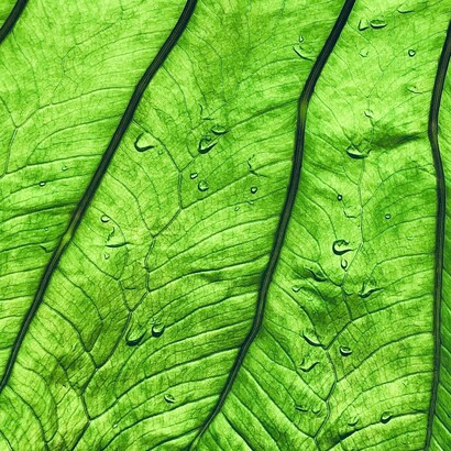 È il luogo segreto in cui tornare ogni volta che il mondo si fa troppo vasto o troppo stretto