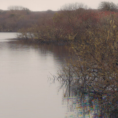 Environments. Courtesy of Tate