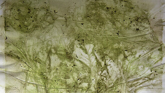 Edgar Massul  *das tuas margens, algumas plantas espremidas*, 2014 (séries)  