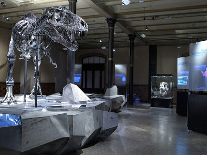 Tristan. Berlin bares teeth. Courtesy of Museum für Naturkunde