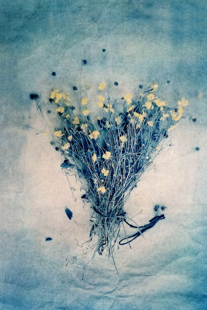 Bloomfield, Meadow-Buttercups, 2018, tri-color-gum-bichromate, 9x12. 