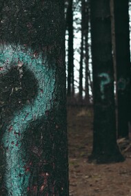Forest trees marked with question mark