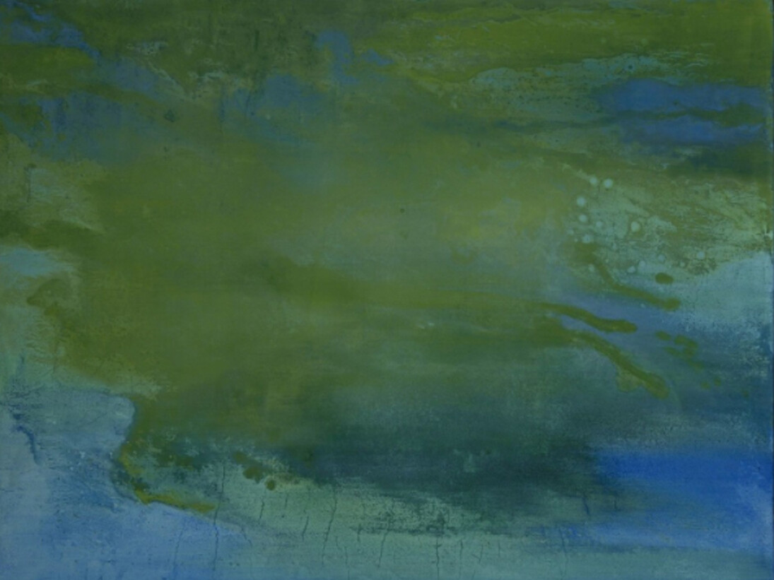 Thiago Rocha Pitta. Courtesy of Marianne Boesky Gallery