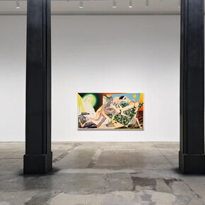 Christina Quarles, The ground glows black, exhibition view. Courtesy of Hauser & Wirth Gallery