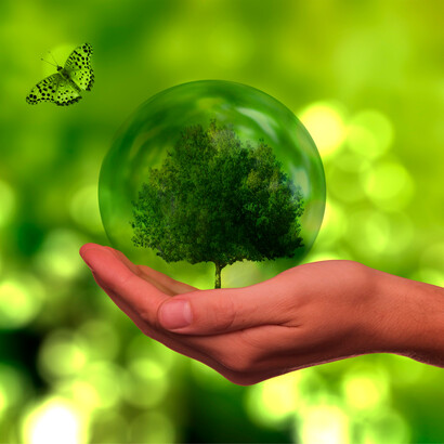  Empresas de vários setores, como o têxtil, o alimentar, e o energético, estão a introduzir medidas que visam reduzir a sua pegada ambiental e fomentar uma economia circular