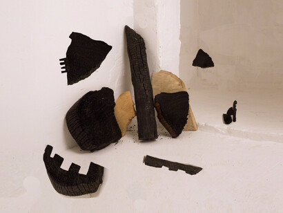 Nico Krijno. Courtesy of The Ravestijn Gallery