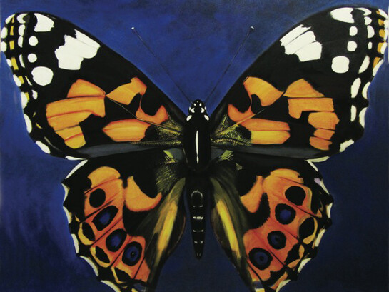 Katie Buckett, Painted Lady, 2015, Oil on canvas, 122 x 153 cm