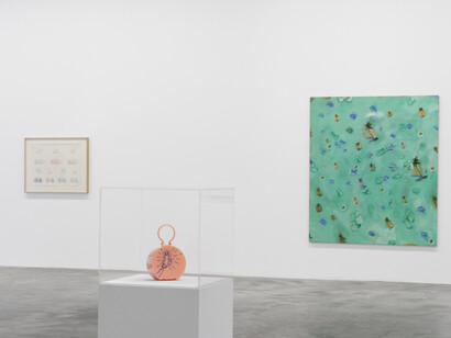 Suellen Rocca, Good things and bad things, exhibition view. Courtesy of Matthew Marks Gallery