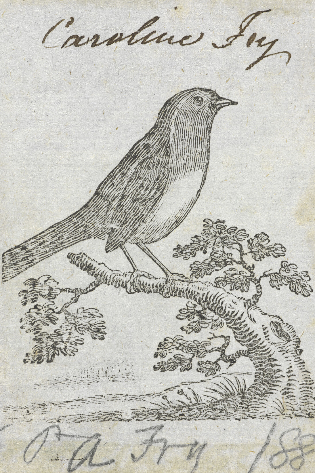 An illustration from the 1793 edition of History of the Red-Breast Family by Sarah Trimmer on display in Animal Tales at the British Library