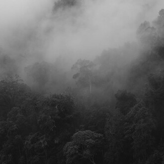 Ludwig Spaude, 0438 – Unter dem gleichen Himmel (detail), 2025. Courtesy of Galerie Albrecht