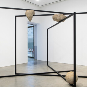 ParaParticular. Courtesy of 303 Gallery