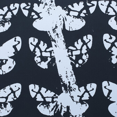 L'impossibilità del volo - Foto di Valeria Nonni