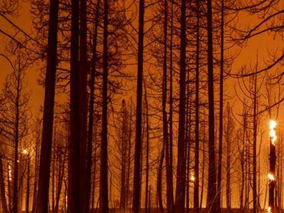 We completely misunderstand how disaster works