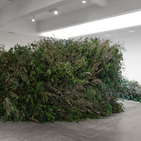 Meg Webster, Thicket, exhibition view. Courtesy of Paula Cooper Gallery