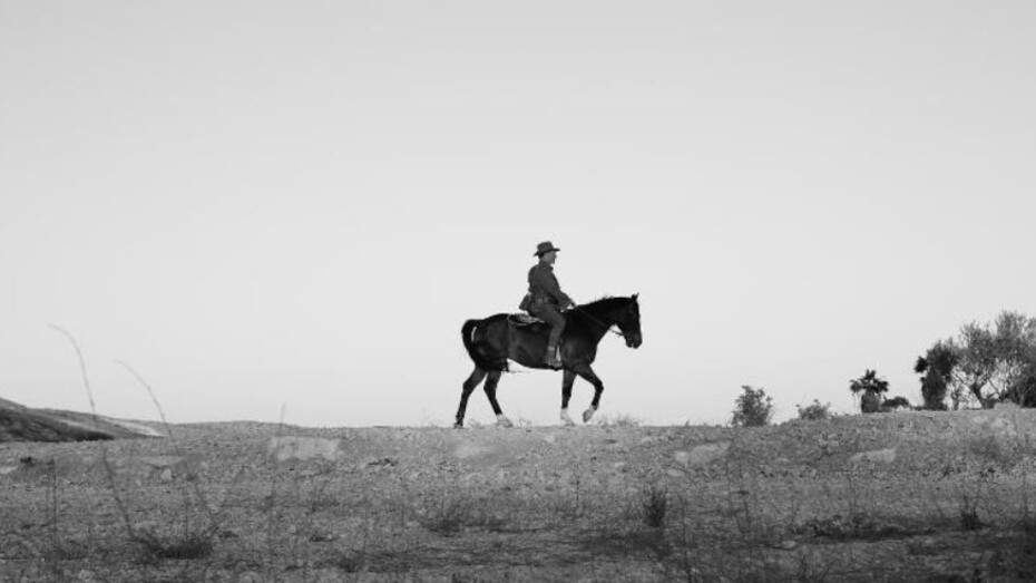 Shaun Gladwell. Courtesy of Tel Aviv Museum of Art