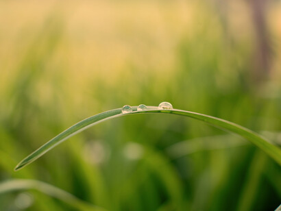 La Pachamama todo lo conecta: el masculino y el femenino, lo telúrico y lo cósmico