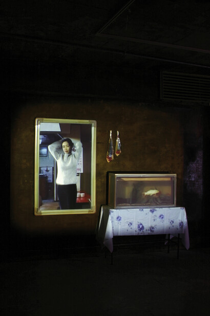 Chang Kyum Kim, Sarubia Dabang 1, 2003, Video installation 10:50min, image Courtesy of the Artist and Hanmi Gallery