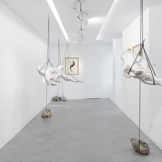Capucine Vever, Where dragons collapse (Là où s’effondrent les dragons), exhibition view. Courtesy of Galerie Eric Mouchet
