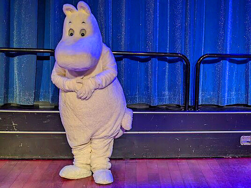 Travel aboard the Baltic Princess on December 26, 2023, for a magical journey between Turku, Långnäs, and Tallinn, featuring the enchanting Moomin in Starlight experience