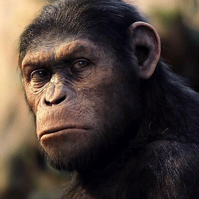 Imagen de la películo "El origen del planeta de los simios", de Rupert Wyatt