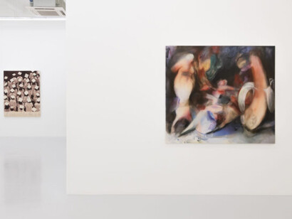 Various artists, their flesh, a field, exhibition view. Courtesy of Ames Yavuz