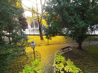 Il giardino della Biblioteca Oriani 