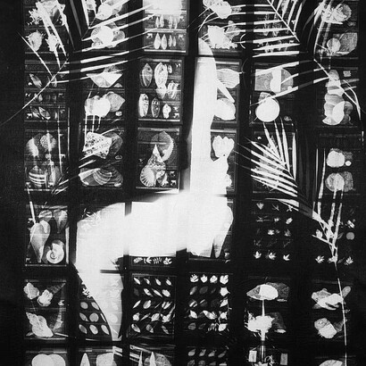 The Body Says, I Am a Fiesta. Courtesy of Norton Museum of Art