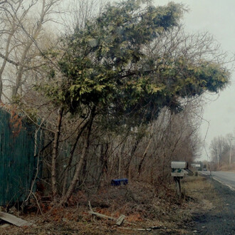 Sonder. Courtesy of Casemore Kirkeby