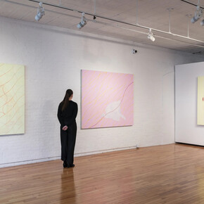Audra Skuodas, Vibrational vulnerability, exhibition view. Courtesy of Cristin Tierney Gallery 