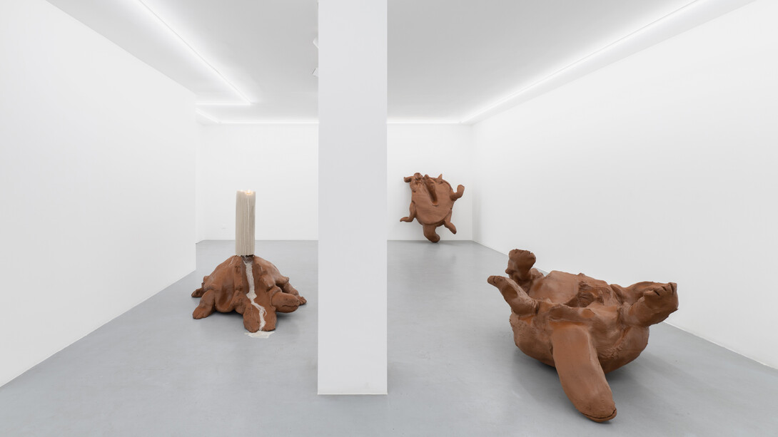 Tiago Alexandre, Dá-me uma gotinha de água, vista da exposição. Cortesia da Galeria Varanda