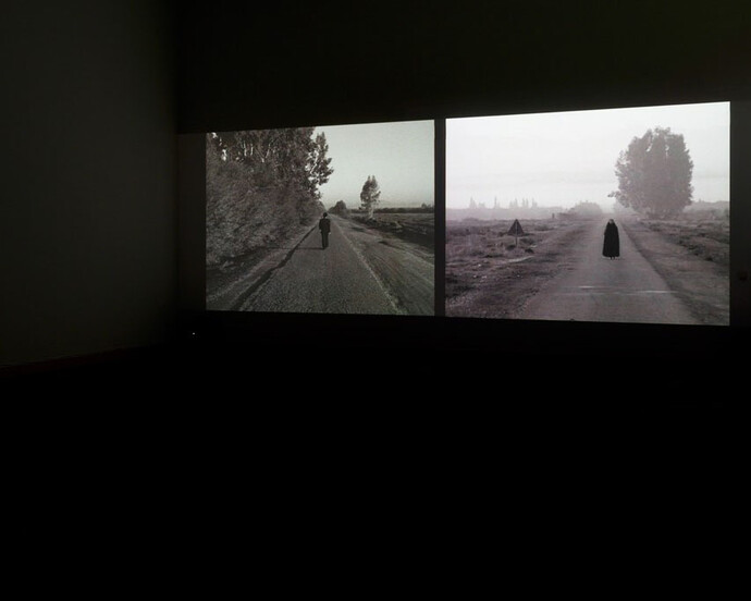 Shirin Neshat. Courtesy of Boca Raton Museum of Art