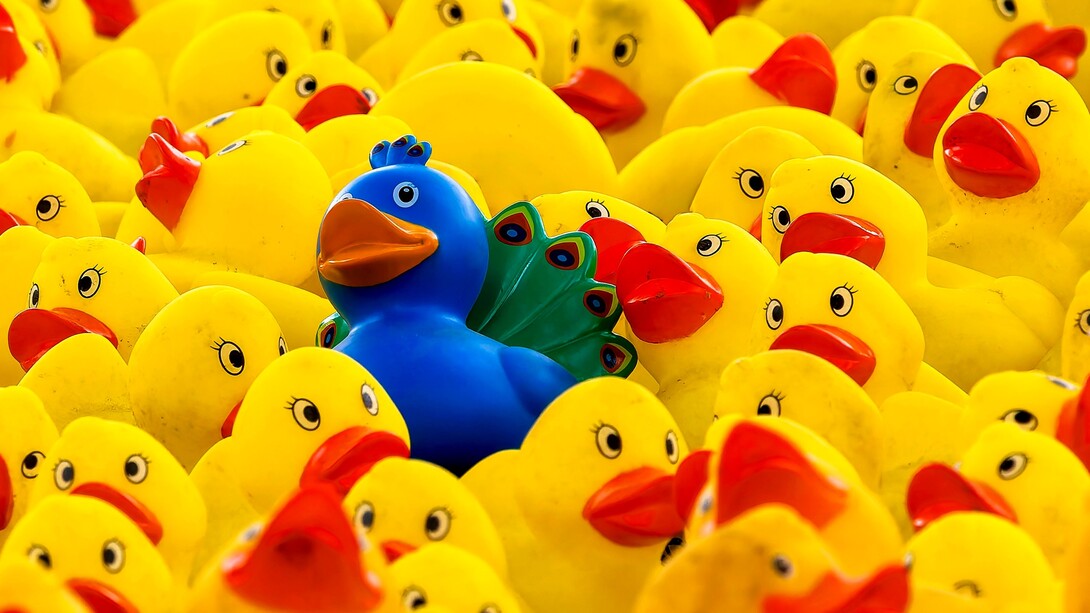 Rallentare, selezionare e riflettere prima di condividere può trasformare la nostra presenza digitale in qualcosa di più autentico e significativo