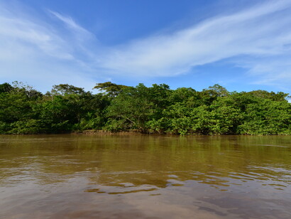 Río Arauca